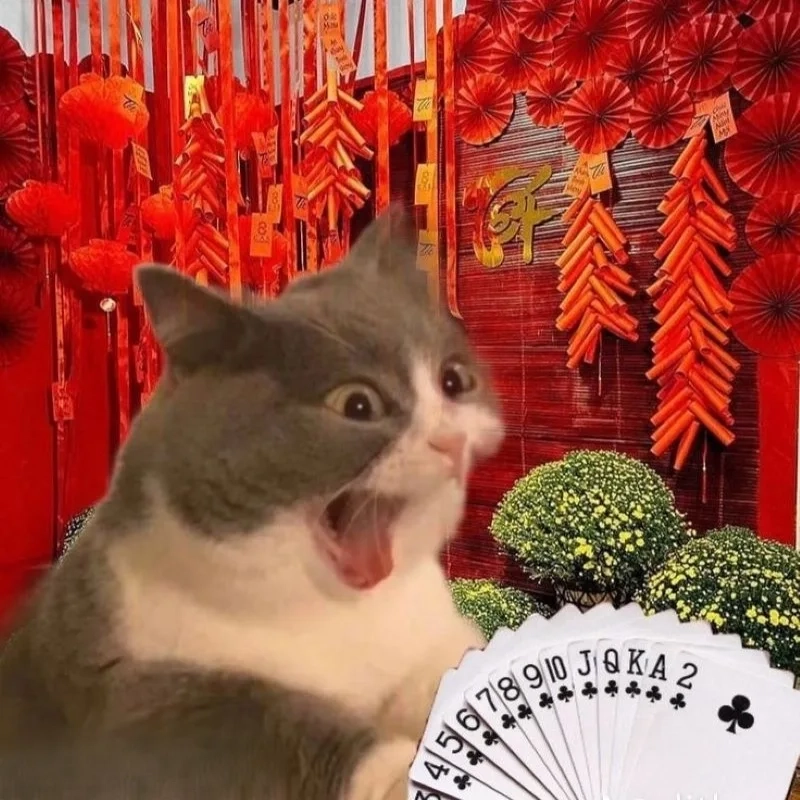 – Dành cho fan mèo hài meme, xem là cười ngay
