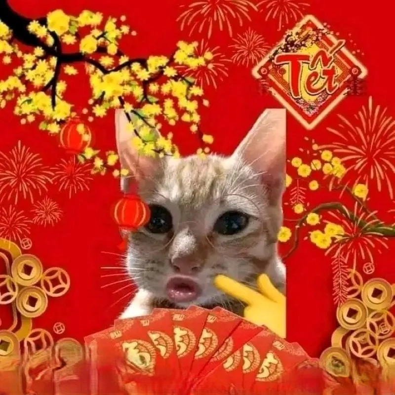 Đổi ngay avatar mèo tết meme hài cho Tết thêm rộn ràng
