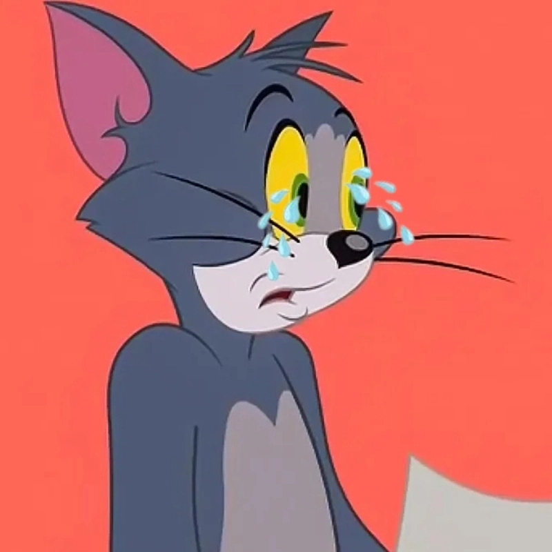 meme mèo tom khóc vì điều gì mà đau lòng đến vậy