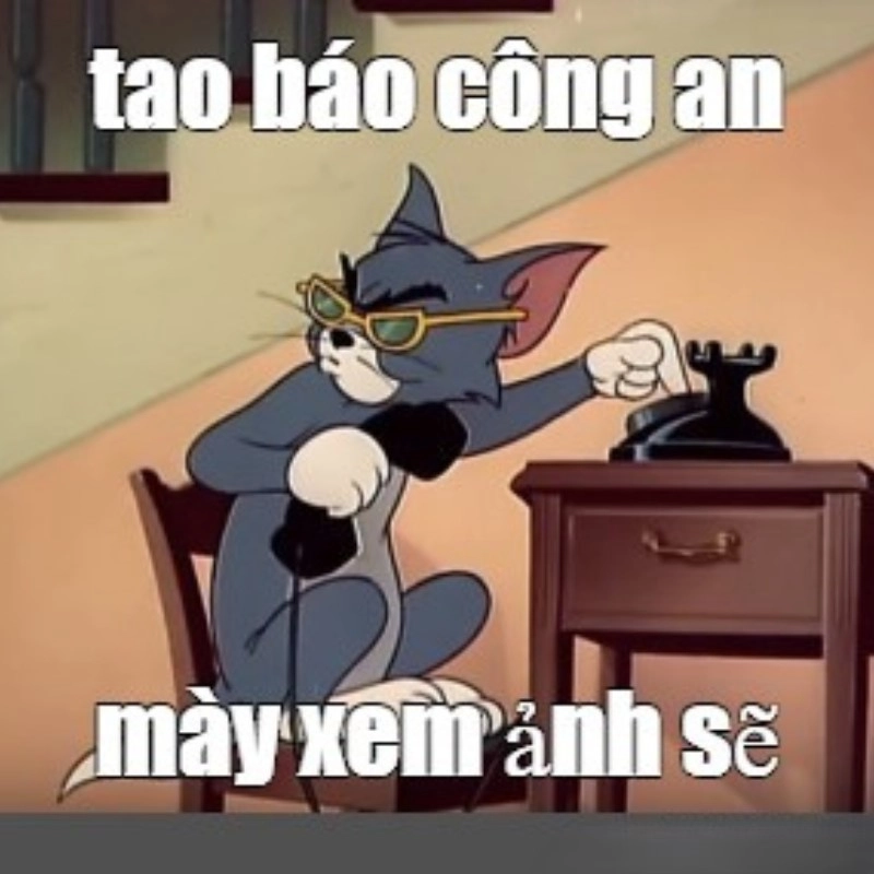 Khi meme mèo tom báo công an, ai đó sắp gặp rắc rối