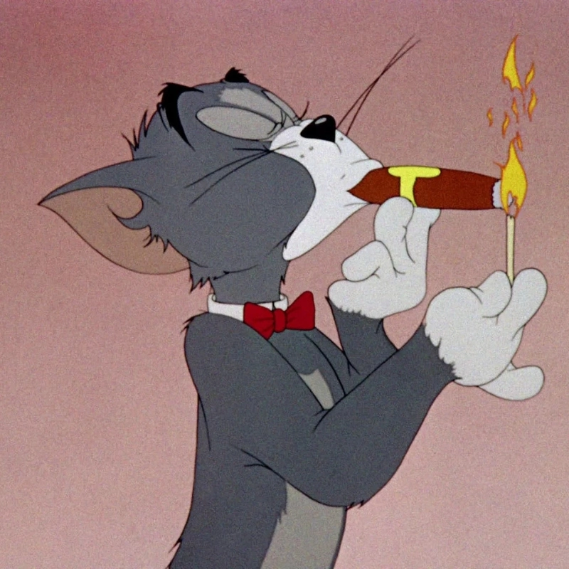 meme mèo tom chấm hỏi, không hiểu chuyện gì đang xảy ra