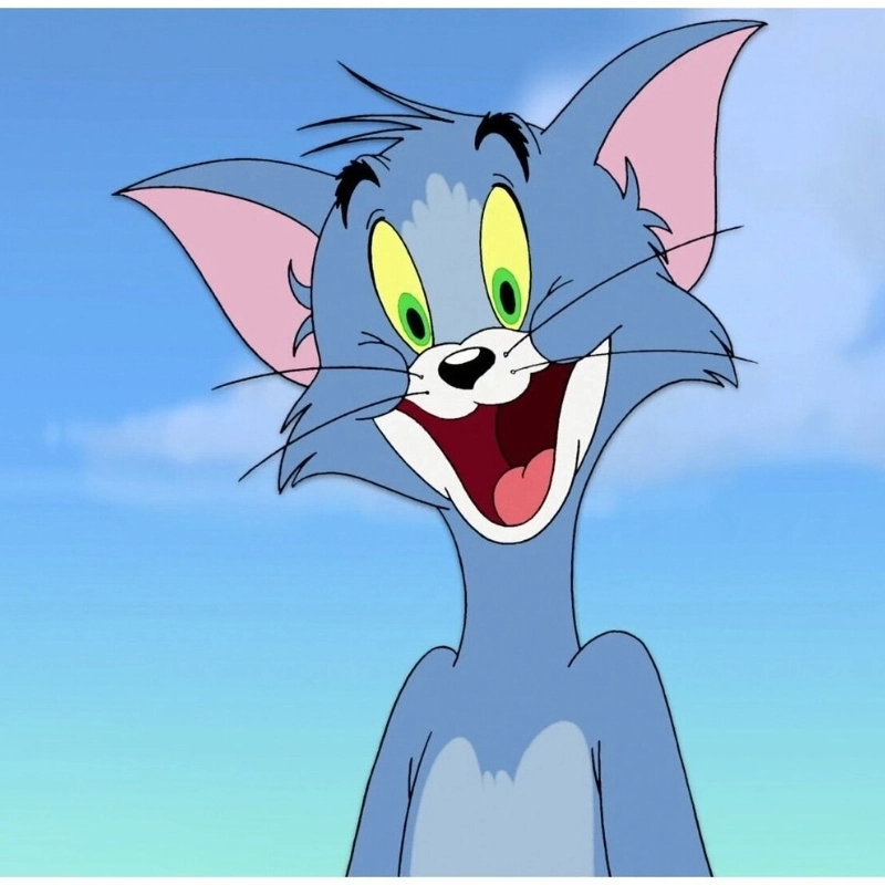 meme mèo tom cười nhưng có gì đó không ổn