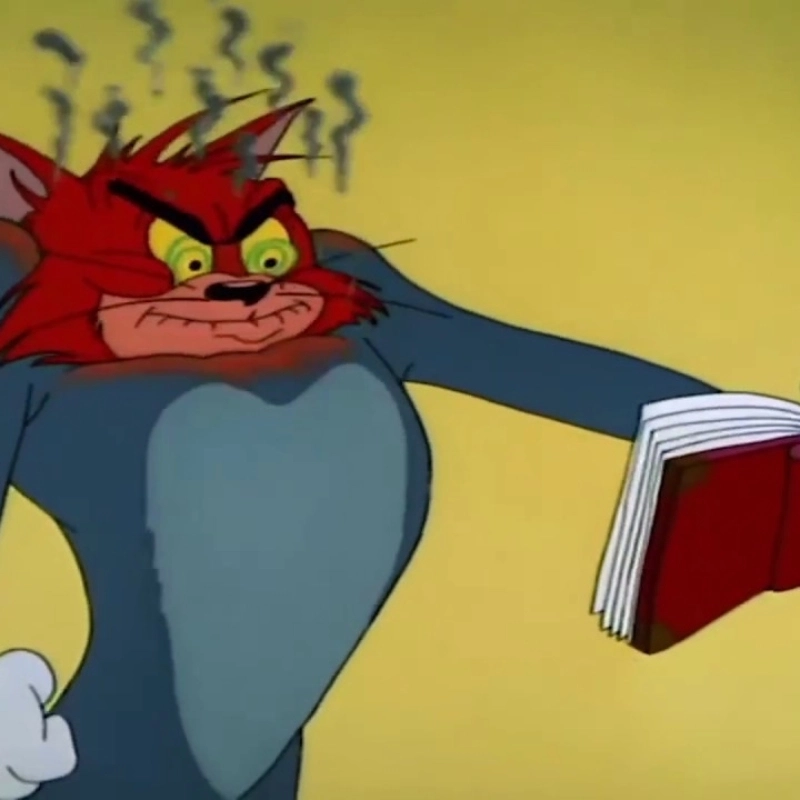 Nhìn meme mèo quyết tâm là biết sẽ làm tới cùng