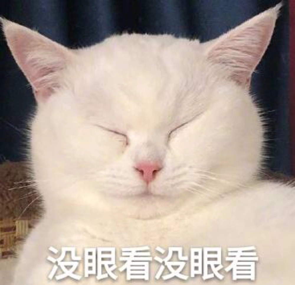 Không thể nhịn cười với meme mèo cười vô tri