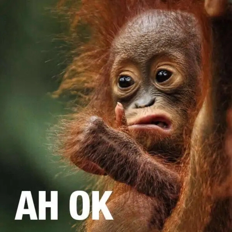 Phản ứng nhẹ nhàng mà đầy hàm ý với meme ah ok
