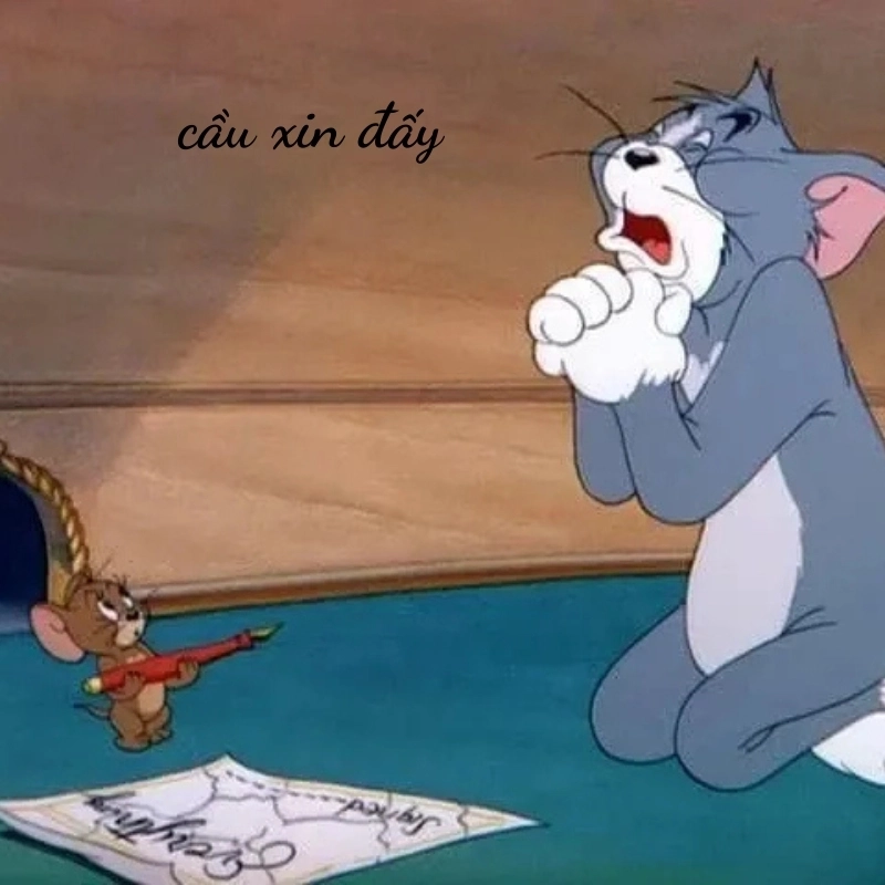 Không còn cách nào khác ngoài cầu xin meme