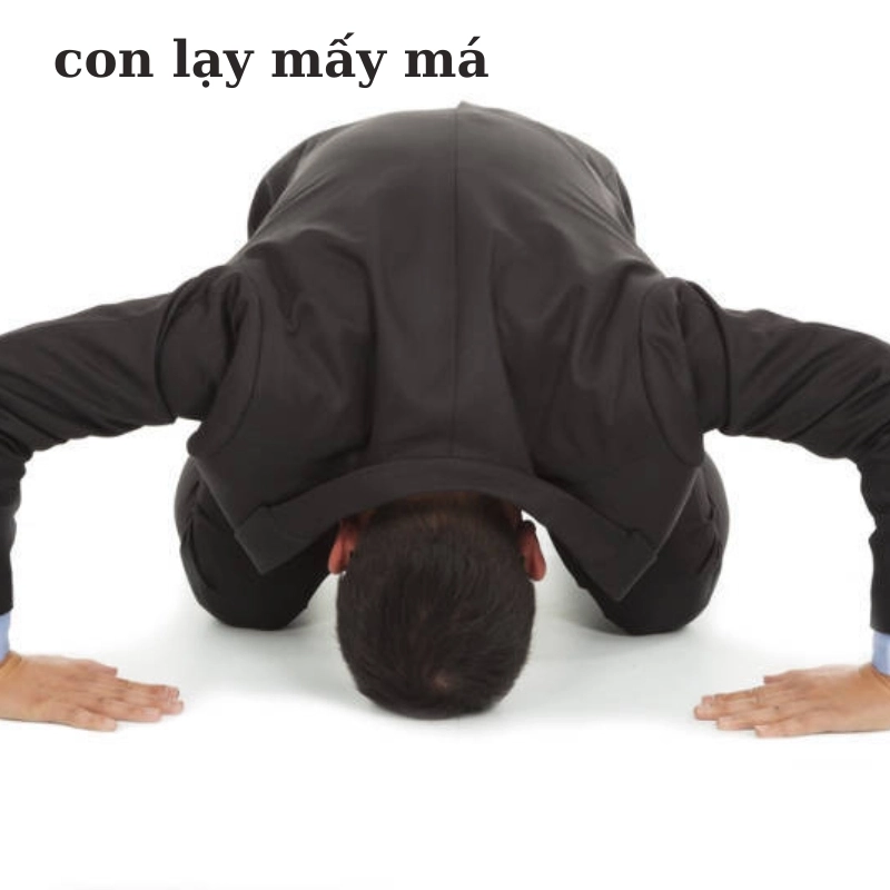 Đến mức này thì meme con trai quỳ gối cũng phải xuất hiện