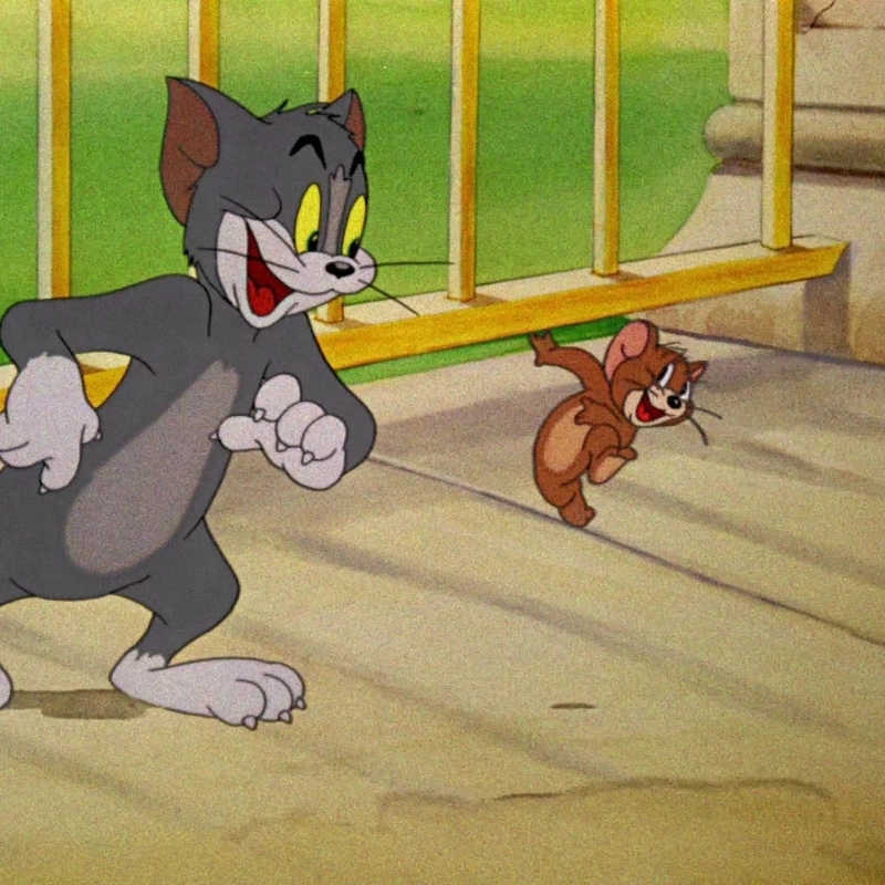 Funny tom and jerry meme Loạt meme hài hước khiến ai cũng không nhịn được cười