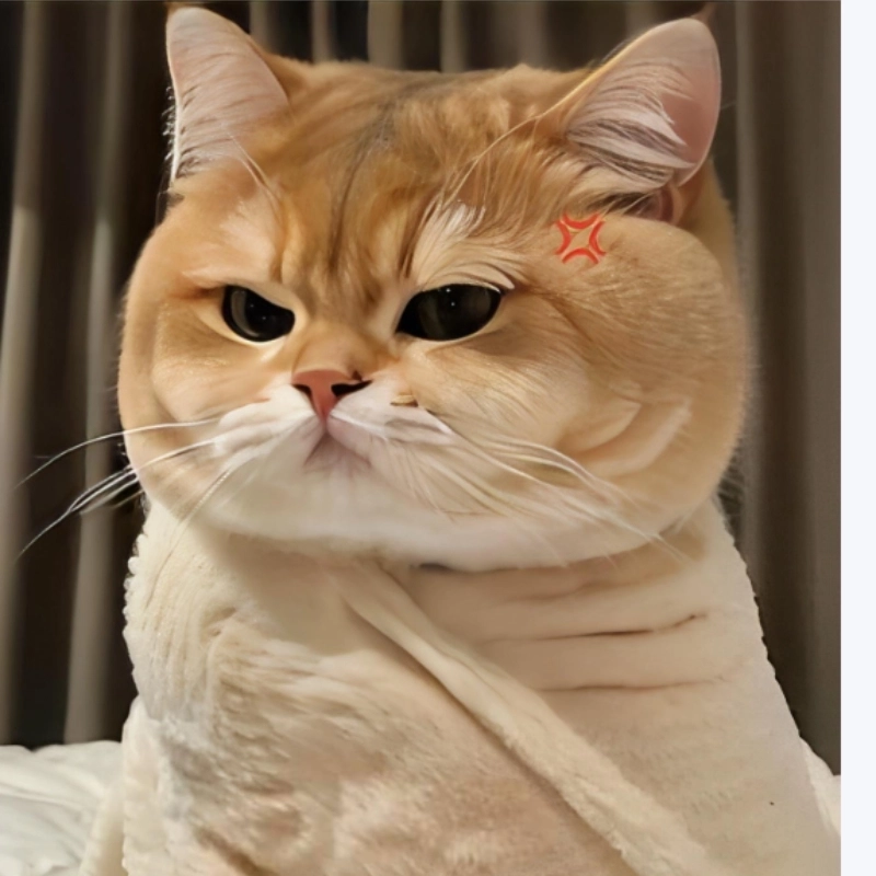 Gọi đây là tức giận cute cũng không sai đâu nha