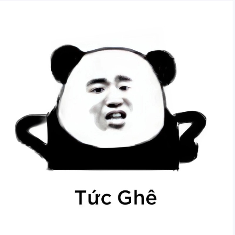 Meme gấu trúc tức giận đến mức muốn đấm luôn
