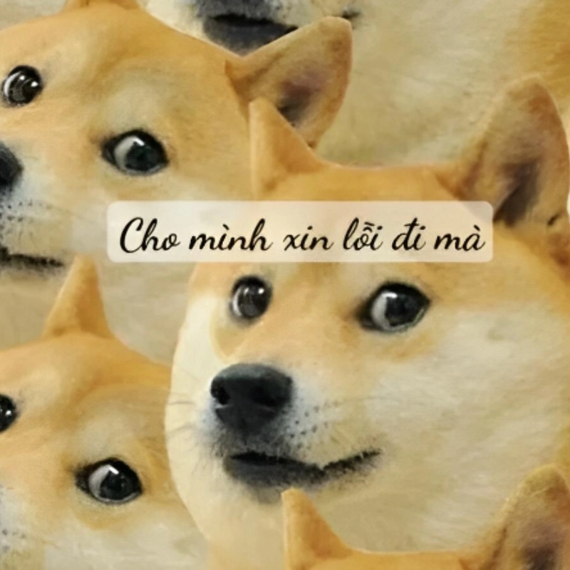 Đã bảo meme xin lỗi mà, sao còn giận hoài vậy