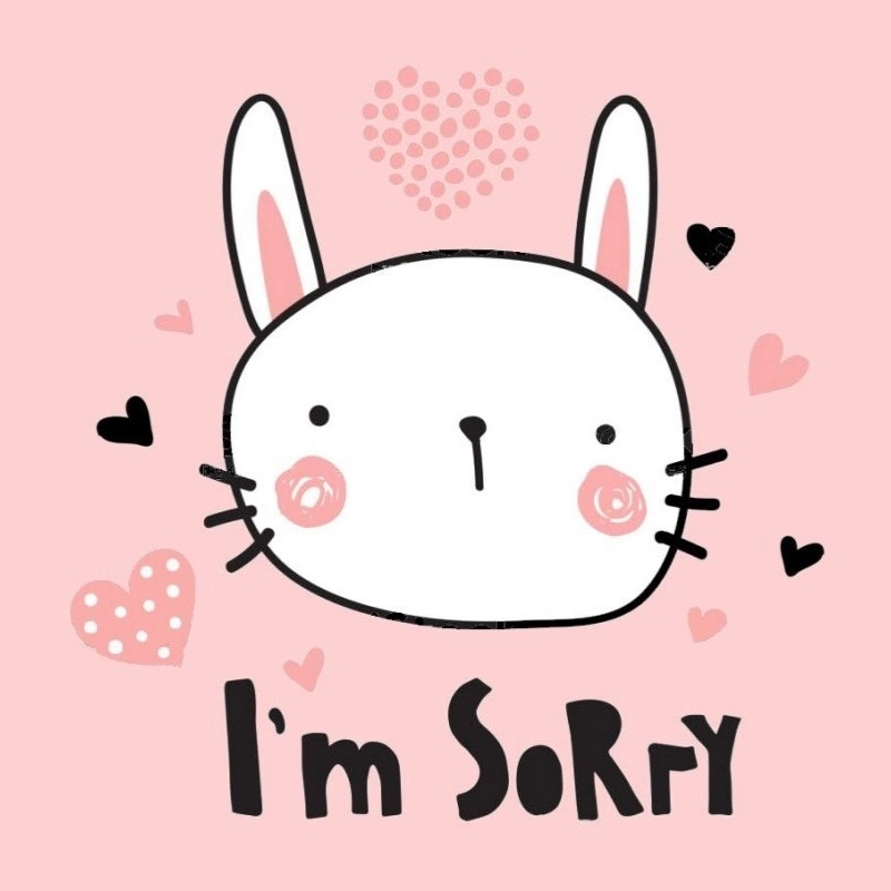 Ai mà giận được với meme xin lỗi đáng yêu thế này chứ