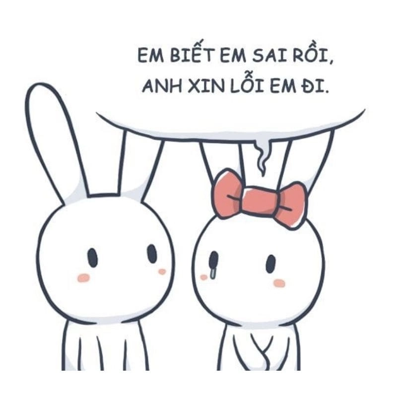 Chiêu cuối cùng gửi meme xin lỗi ny, mong rằng không bị block