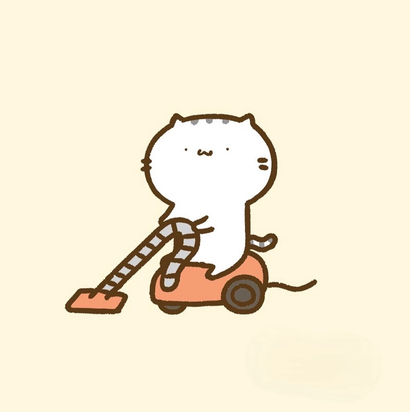 Xem ngay ảnh con mèo chibi đáng yêu