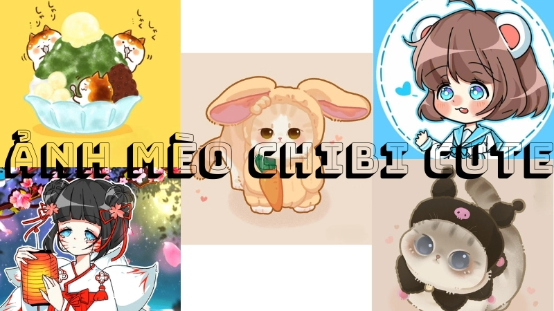 Ý nghĩa ảnh mèo chibi thế nào?