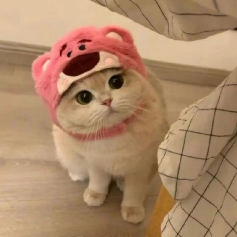 Tải ngay mèo con chibi cute siêu đáng yêu