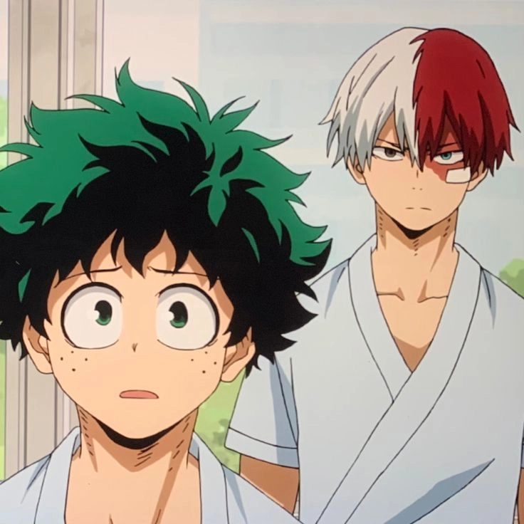 Todoroki x Midoriya tình bạn và sự thấu hiểu giữa hai thiên tài