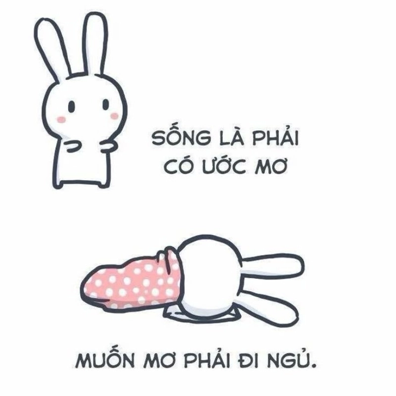 Những giấc mơ bá đạo qua bộ meme ngủ mơ hài hước