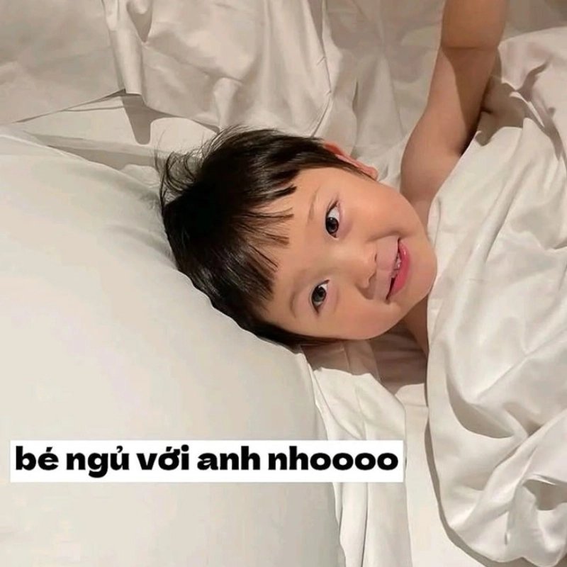 Cười nghiêng ngả với bộ chế meme hay hình ngủ độc đáo