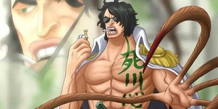 Aramaki Ryokugyu là tên thật của Đô đốc Ryokugyu trong One Piece