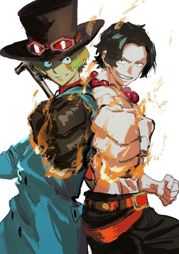 Ace x Sabo 18 truyện tranh dành cho fan yêu thích cặp đôi này