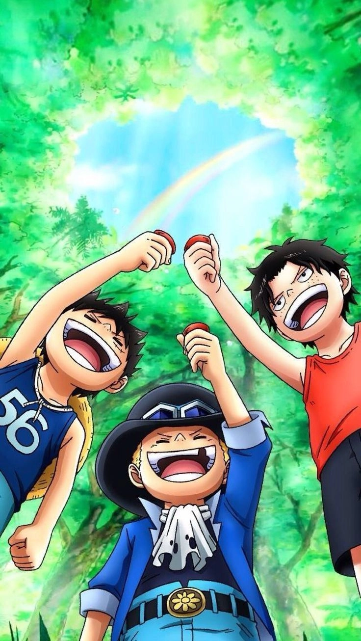 Ace Sabo Luffy cute những khoảnh khắc đáng yêu khi còn nhỏ