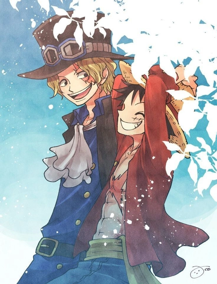 Sabo và Luffy những khoảnh khắc đáng nhớ của hai anh em kết nghĩa