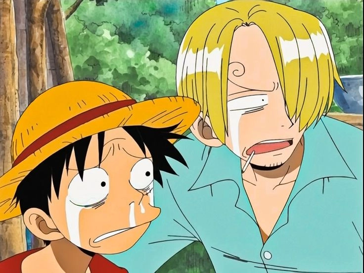 Sanji Luffy sự tôn trọng và tình cảm giữa hai thành viên Mũ Rơm