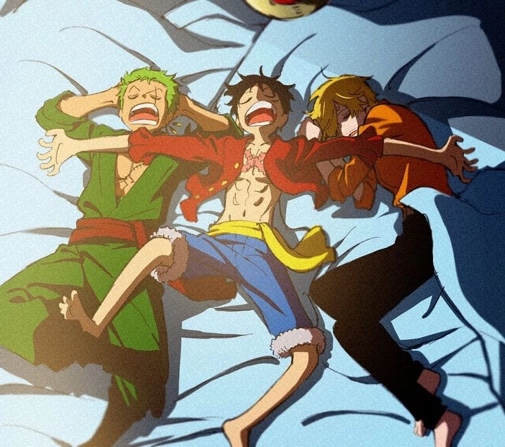 Luffy Zoro Sanji bộ ba chiến binh mạnh mẽ nhất của băng Mũ Rơm