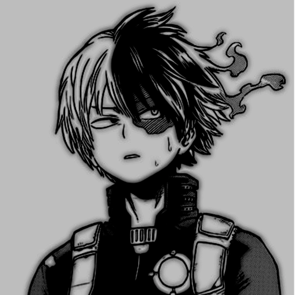 Shoto manga hành trình đầy thử thách trong thế giới My Hero Academia