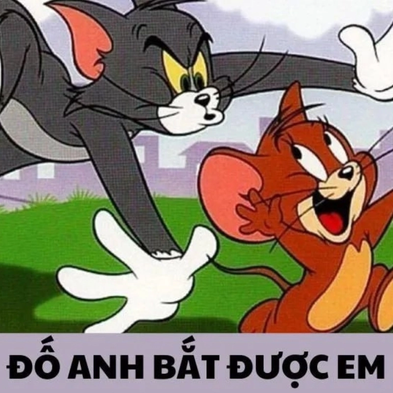 Tom jerry meme Cặp đôi huyền thoại và những pha rượt đuổi kinh điển