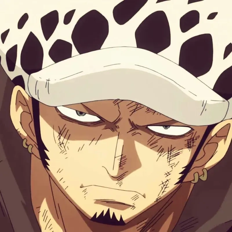 Mối quan hệ đặc biệt giữa trafalgar luffy