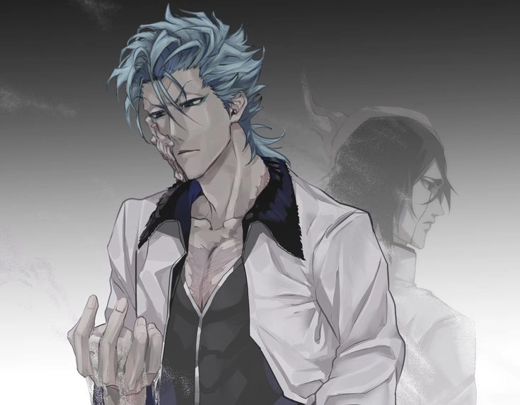 Grimmjow x Ulquiorra hai Espada với tính cách đối lập nhưng đầy cuốn hút