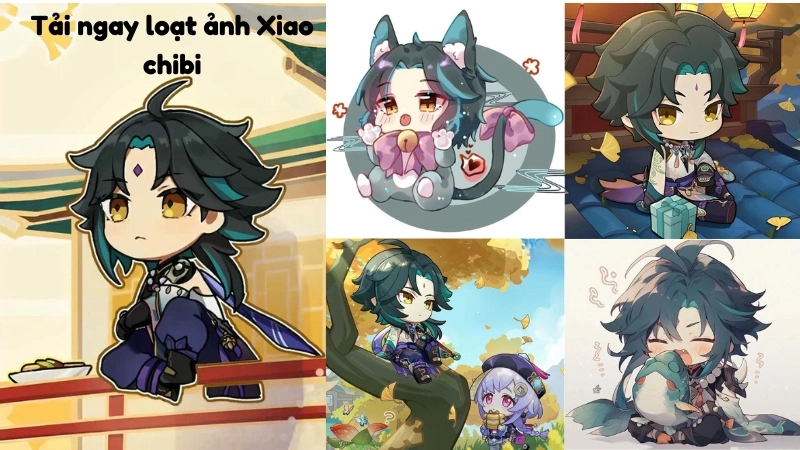 Thế nào là ảnh xiao chibi đẹp?