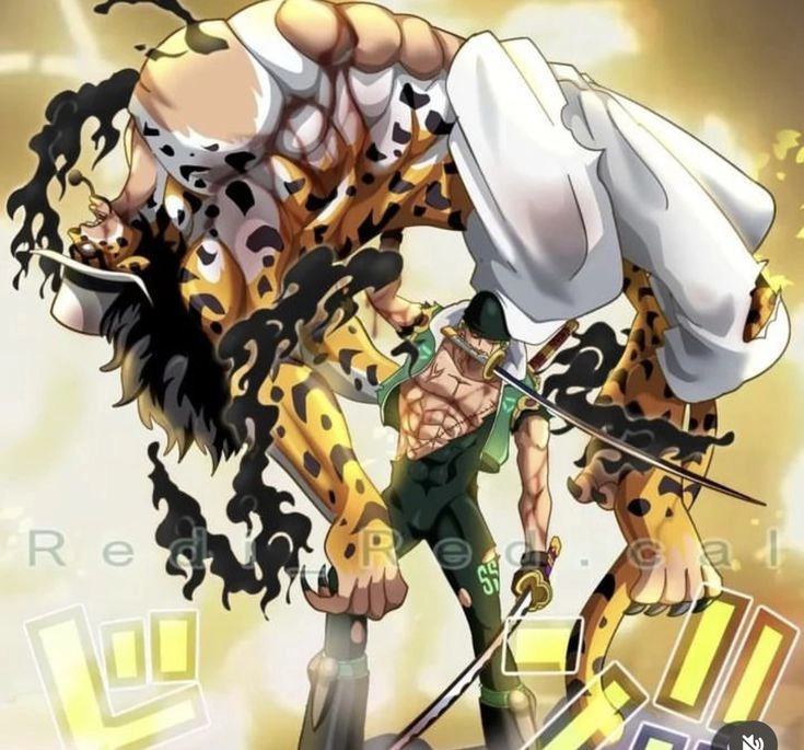 Lucci vs Zoro trận chiến giả thuyết giữa hai bậc thầy chiến đấu
