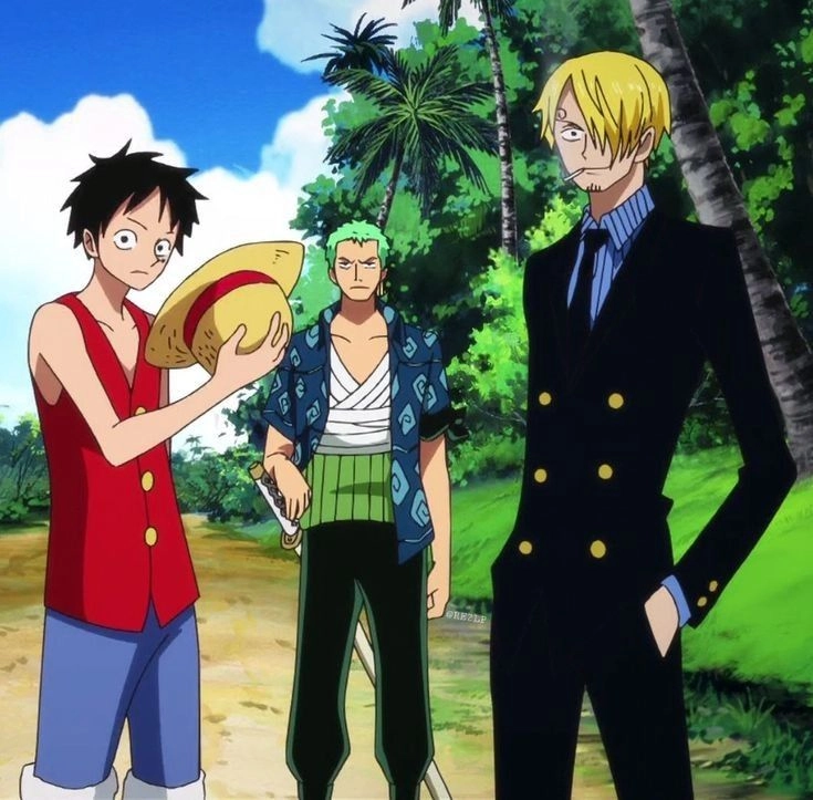 Sanji Luffy Zoro mỗi người một phong cách nhưng cùng chung chí hướng