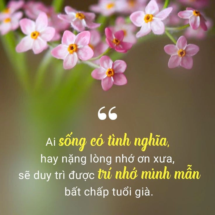 ảnh chữ ý nghĩa về cuộc sống truyền cảm hứng từng ngày