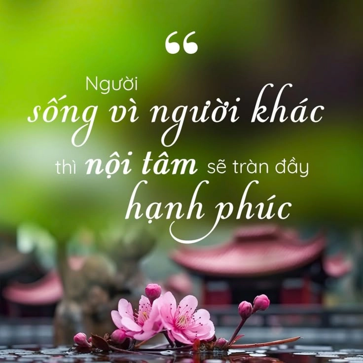 Gợi mở tâm hồn cùng ảnh mang ý nghĩa cuộc sống sâu lắng