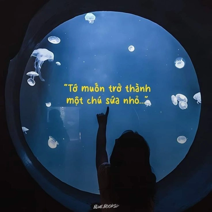 Avatar đẹp zalo với nét nhẹ nhàng, phù hợp cho mọi phong cách
