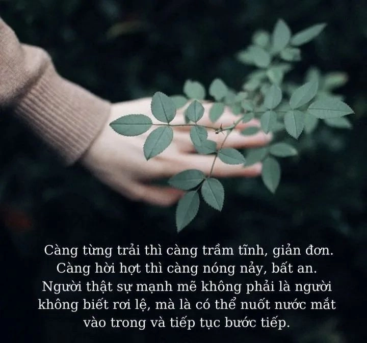 Đặt avatar ý nghĩa cuộc sống để truyền năng lượng tích cực