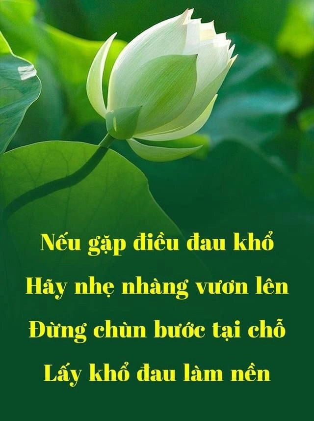 Chạm vào cảm xúc với bức ảnh ý nghĩa cuộc sống
