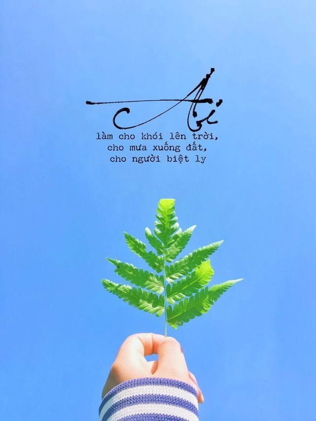 Truyền tải tâm trạng qua hình ảnh cuộc sống ý nghĩa