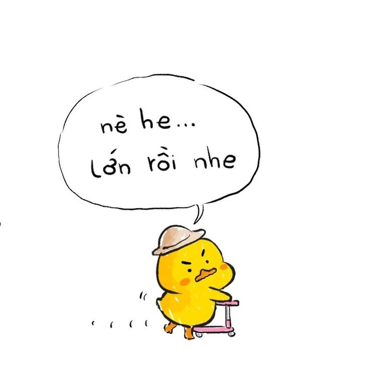 Ai nhìn cũng thích ảnh vịt vàng cute cưng không chịu đượcAi nhìn cũng thích ảnh vịt vàng cute cưng không chịu được