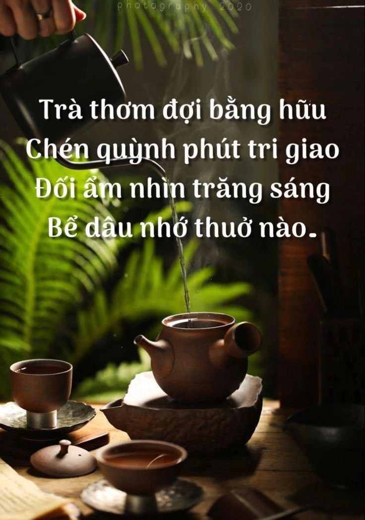 Thưởng thức hình ảnh có ý nghĩa trong cuộc sống mỗi sáng