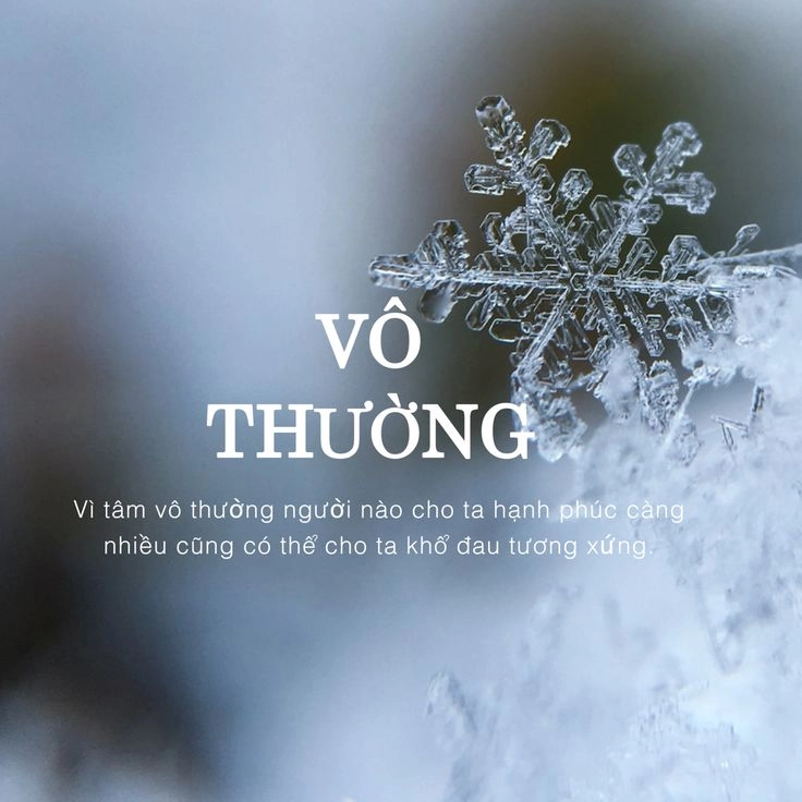 Bộ sưu tập hình ảnh đẹp và ý nghĩa về cuộc sống cực chill