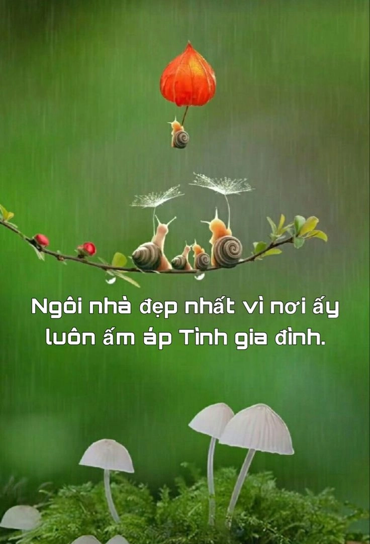 Đắm chìm trong ảnh đẹp có chữ ý nghĩa về cuộc sống nhẹ nhàng