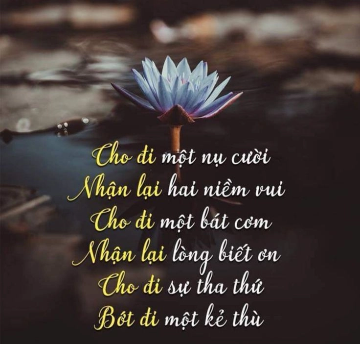 Ngắm nhìn ảnh đẹp và ý nghĩa về cuộc sống đầy cảm xúc