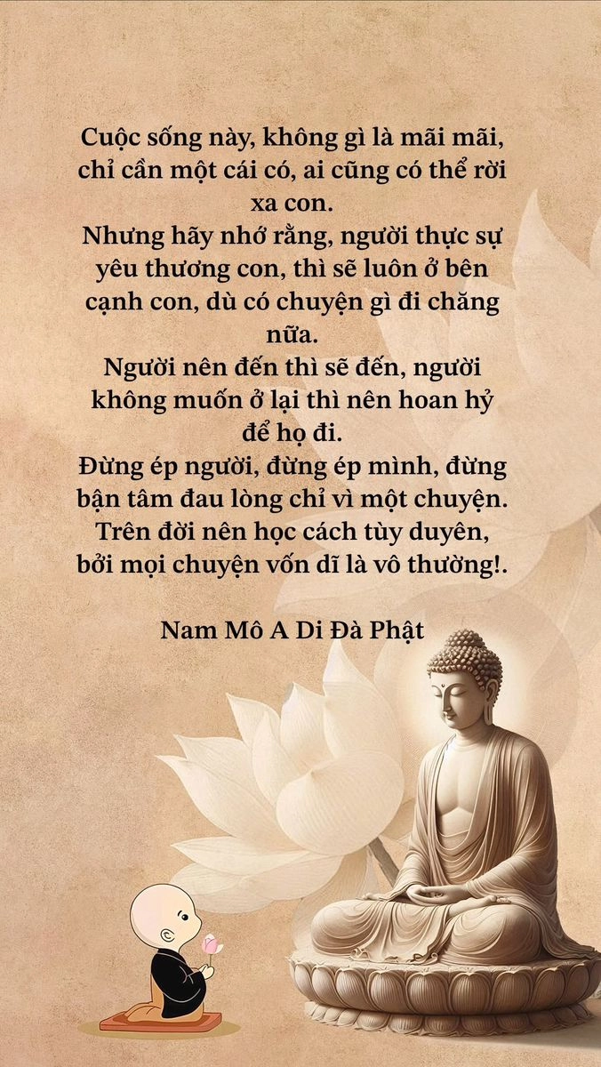 Tổng hợp ảnh đẹp ý nghĩa về cuộc sống làm nền cực phẩm