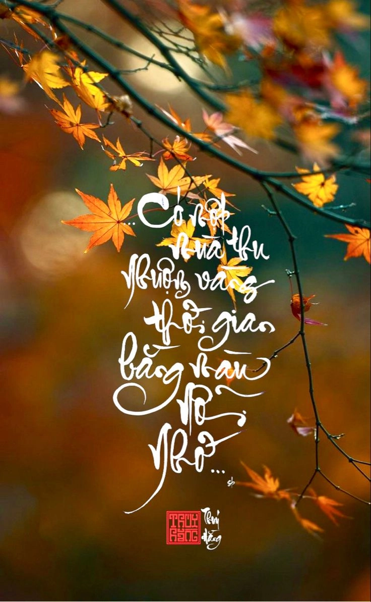 Avt ảnh đại diện đẹp và ý nghĩa thể hiện cái nhìn sâu sắc về cuộc sống