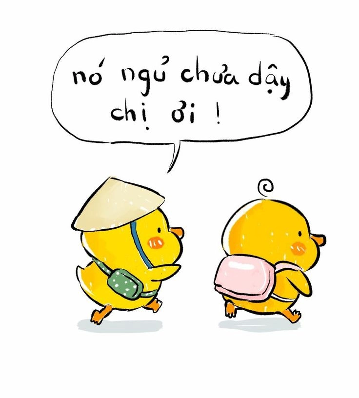 Vịt vàng hóa diễn viên chính trong hình ảnh chú vịt vàng